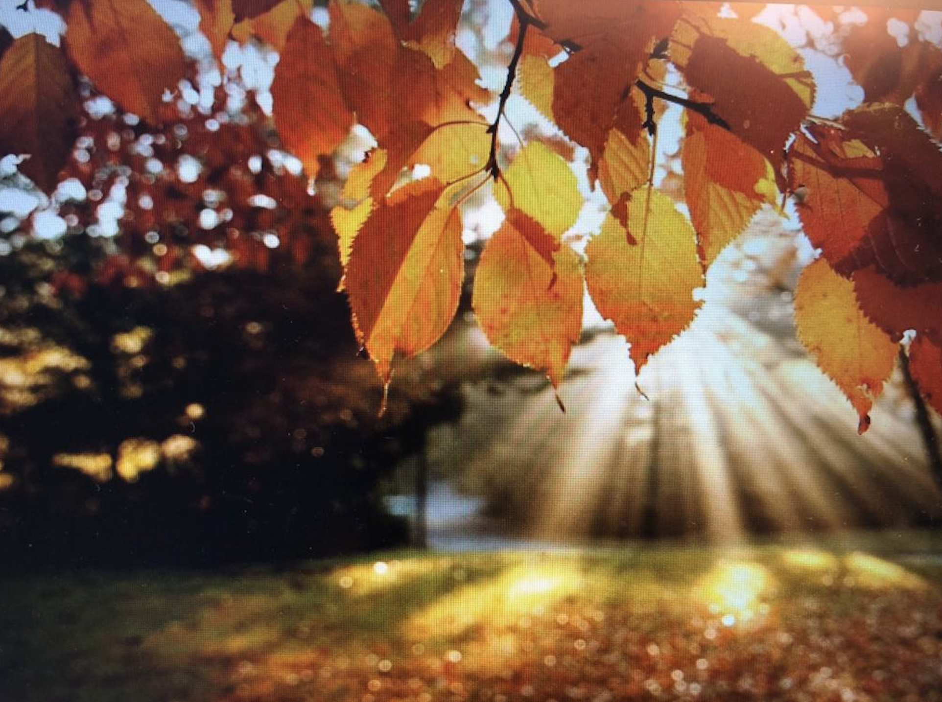 Willkommen zurück nach der Herbstferienpause! 